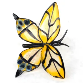 Yellow Glass Swallowtail Butterfly